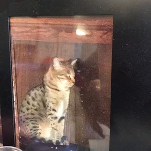 Meet your Posher, Barbara